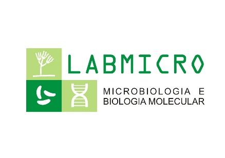 LABMICRO Logo